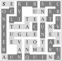 8X8 SE CONFIER A UN AVEUGLE C'ETAIT LIVRER UN SECRET A UN TEMOIN QUI N'AURA RIEN VU-s