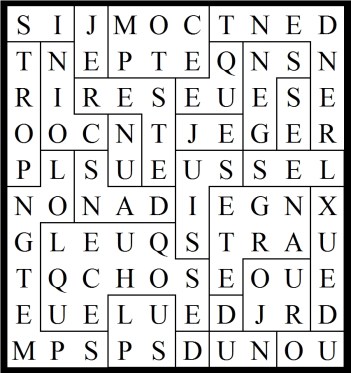 SI JE RESTE DANS UN COIN TROP LONGTEMPS PLUS D'UN JOUR OU DEUX LES GENS SE RENDENT COMPTE QUE JE SUIS QUELQUE CHOSE D'ETRANGE