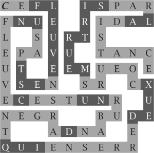 CE FLEUVE N EST PAS UN FLEUVE C'EST UN RUBAN D'ARGENT QUI ENSERRE DEUX COEURS MEURTRIS PAR LA DISTANCE-s