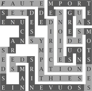 FAUTE DE DIRECTION NOUS ETIONS EMPORTES AU GRE DES MOTS DES SOUVENIRS DES MANIES DES RANCUNES ET DES SYMPATHIES-s