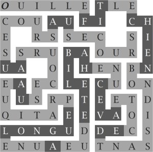 OUILLE FIT LE CHIEN BONDISSANT DE COTE AVEC UNE HABILETE DUE A UNE LONGUE PRATIQUE AU SECOURS AU SECOURS AU SECOURS-s