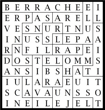 BERRACHE ENTRA SANS PREVENIR DANS LA CUISINE IL AVAIT SON FUSIL SUR L EPAULE IL SAISIT AUSSITOT LE JEUNE HOMME PAR LE BRAS