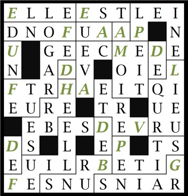 ELLE EST A MOITIE PLEINE DE LIQUEUR VERTE AVEC AU FOND UN FEUTRAGE D HERBES DE FEUILLES DE PETITS GRAINS BRUNS-let