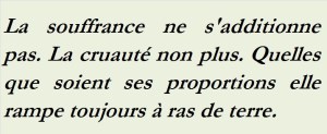 LA SOUFFRANCE NE S ADDITIONNE PAS LA CRUAUTE NON PLUS-txt