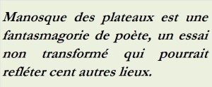 MANOSQUE DES PLATEAUX EST UNE FANTASMAGORIE DE POETE, UN ESSAI NON TRANSFORME QUI POURRAIT REFLETER CENT AUTRES LIEUX-txt