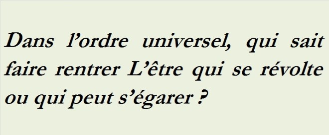 DANS L ORDRE UNIVERSEL - txt