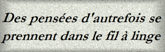 DES PENSEES D AUTREFOIS SE PRENNENT DANS LE FIL A LINGE-txt