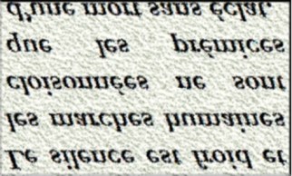 LE SILENCE EST FROID ET LES MARCHES HUMAINES CLOISONNEES NE SONT QUE LES PREMICES D UNE MORT SANS ECLAT-txtr