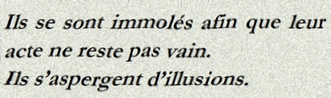 ILS SE SONT IMMOLES - txt0
