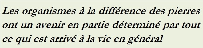 LES ORGANISMES - txt0