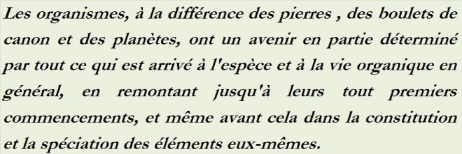 LES ORGANISMES - txt1