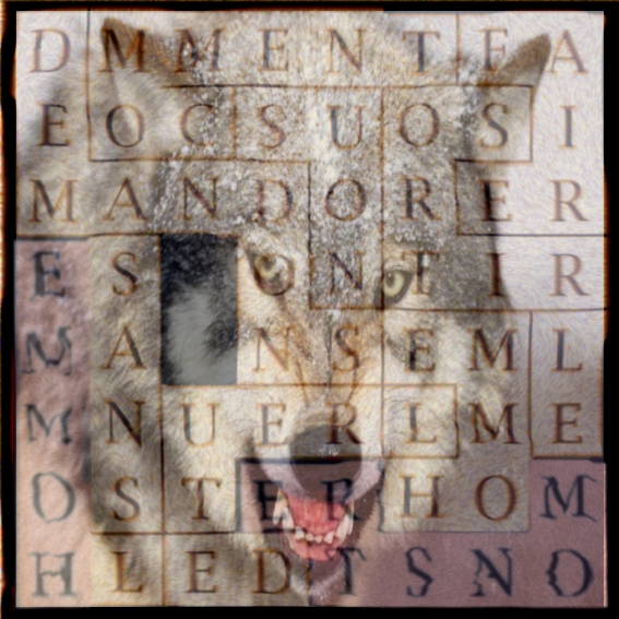 DEMANDONS NOUS COMMENT FAIRE SORTIR - letcr-exposure-1