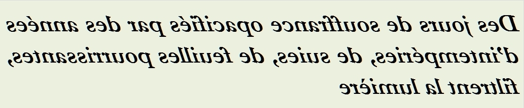 DES JOURS DE SOUFFRANCE OPACIFIES - txt0r