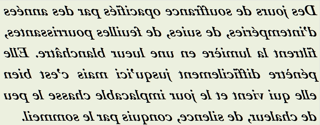 DES JOURS DE SOUFFRANCE OPACIFIES - txt1r