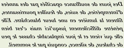 DES JOURS DE SOUFFRANCE OPACIFIES - txt1r