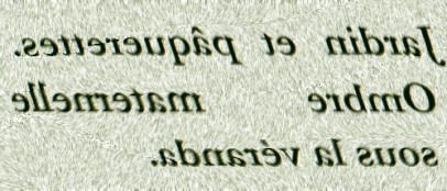 JARDIN ET PAQUERETTES OMBRE - txt0r