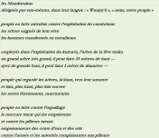 PEUPLE QUI REGARDE LES ARBRES - txt1