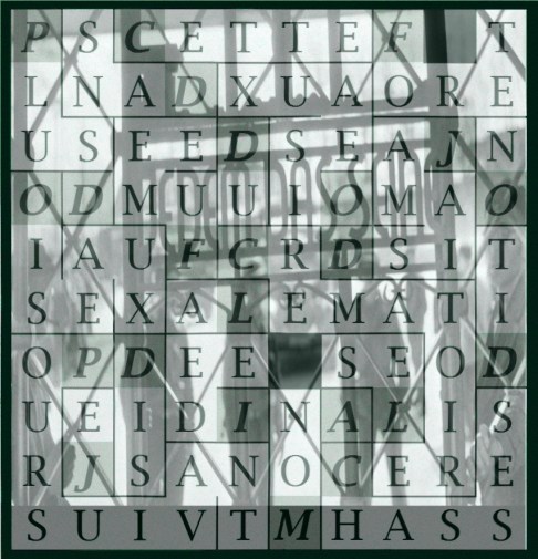 PLUS D OISEAUX DIS JE - letcr11