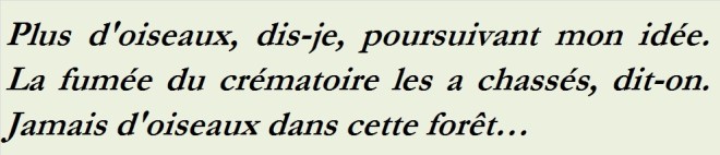 PLUS D OISEAUX DIS JE - text0