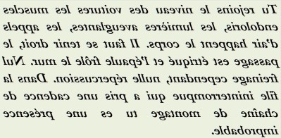 DANS LA FILE ININTERROMPUE - txt1r