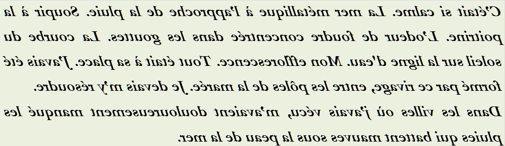 DANS LES VILLES OU J AVAIS VECU - txt1r