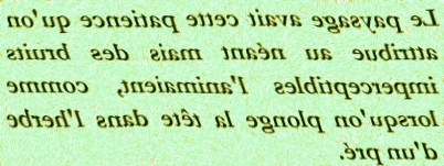 LE PAYSAGE AVAIT CETTE PATIENCE - txt1r