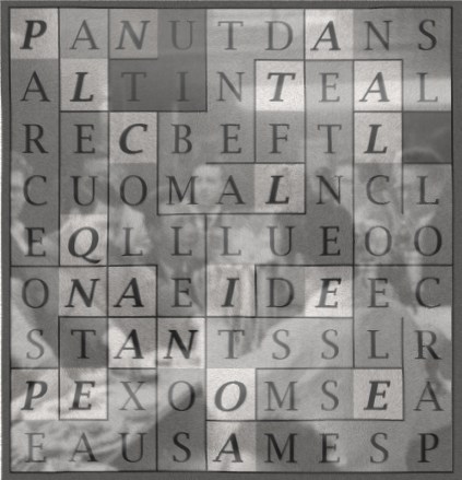 PARCE QUE LA NUIT COLLE - letcr1-exp