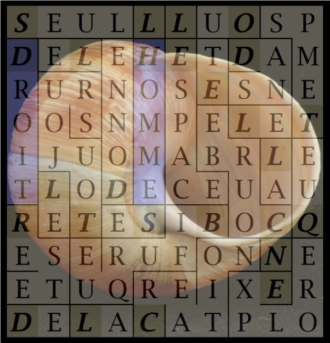 SEUL L HOMME SE DONNE LE DROIT - letcr1-exp