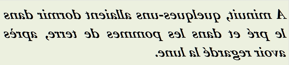 A MINUIT QUELQUES UNS - txt0r