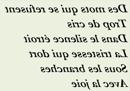 DES MOTS QUI SE REFUSENT - txt0r