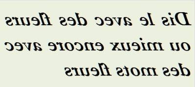 DIS LE AVEC DES FLEURS - txt0r