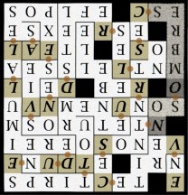 EN VERITE CE SONT NOS OMBRES - letcr1-sr