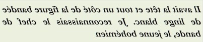 IL AVAIT LA TETE ET TOUT UN COTE DE LA FIGURE  - txt0r