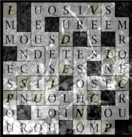 IMMONDICES POURQUOI UN - letc1-exp