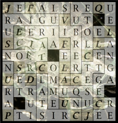 JE FAIS VIBRER CETTE CLOTURE - letcr1-exp