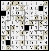 JE FAIS VIBRER CETTE CLOTURE - letcr1-sr