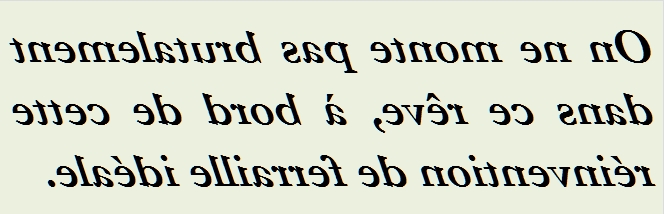 ON NE MONTE PAS BRUTALEMENT - txt0r