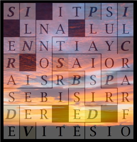 S IL NE RAISONNAIT PLUS - letcr1-exp