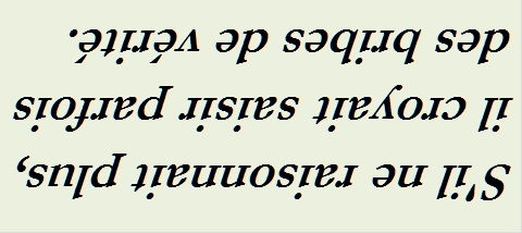 S IL NE RAISONNAIT PLUS - txt0r