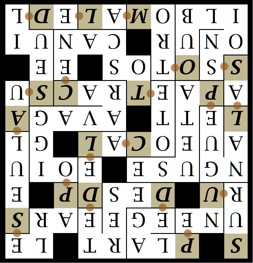 SUR UNE PLAGE DESERTE DE LA COTE - letc1-sr