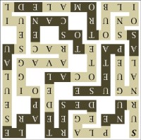 SUR UNE PLAGE DESERTE DE LA COTE - sr