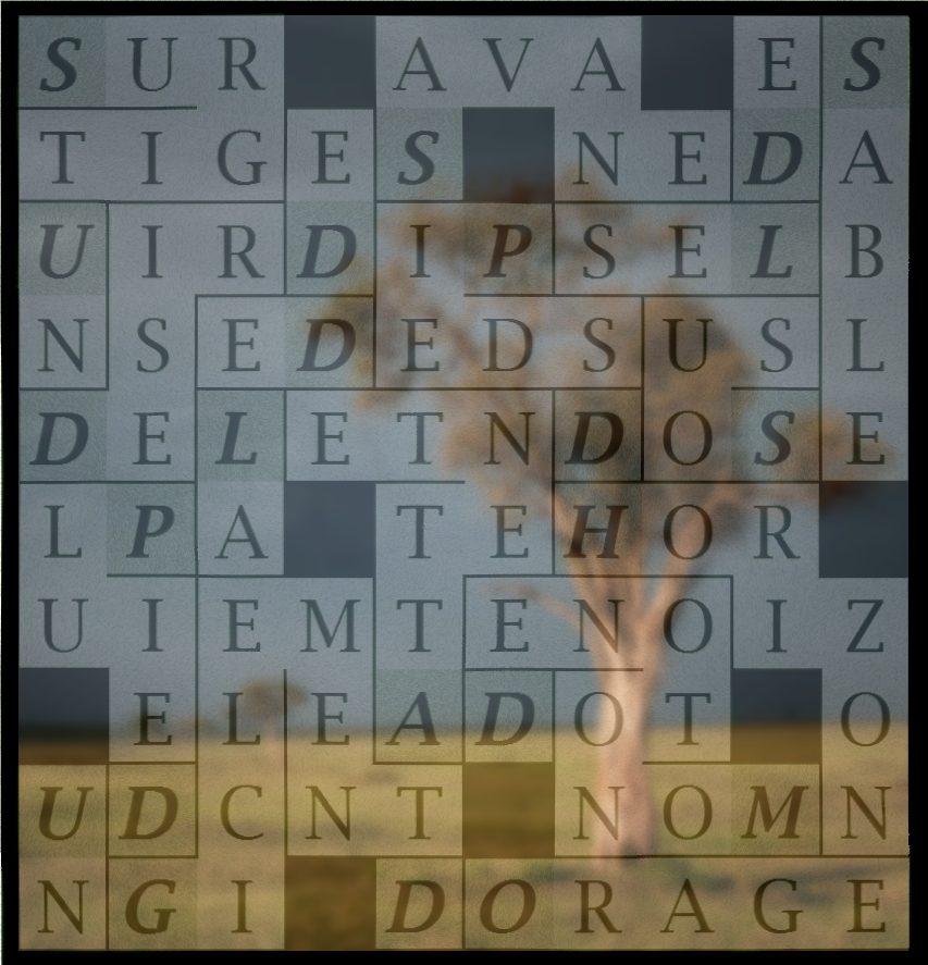 SURGIT UN DESIR DE SAVANE - letcr1-exp