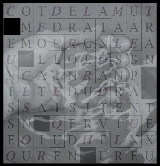 COMME UN CAILLOU ROND ET LISSE - letcr1-exp2