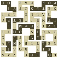 L OEIL ENFONCÉ ET BRILLANT VOIT - sr