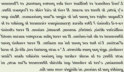 L OEIL ENFONCÉ ET BRILLANT VOIT - txt1r