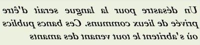 UN DESASTRE POUR LA LANGUE-txtr