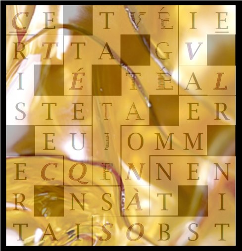 CE TRISTE ÉTAT VÉGÉTATIF QUE CERTAINS  - letcr1-exp