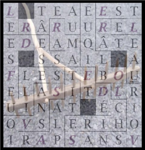 LE RÂTEAU RAMASSE DES - letcr1-exp