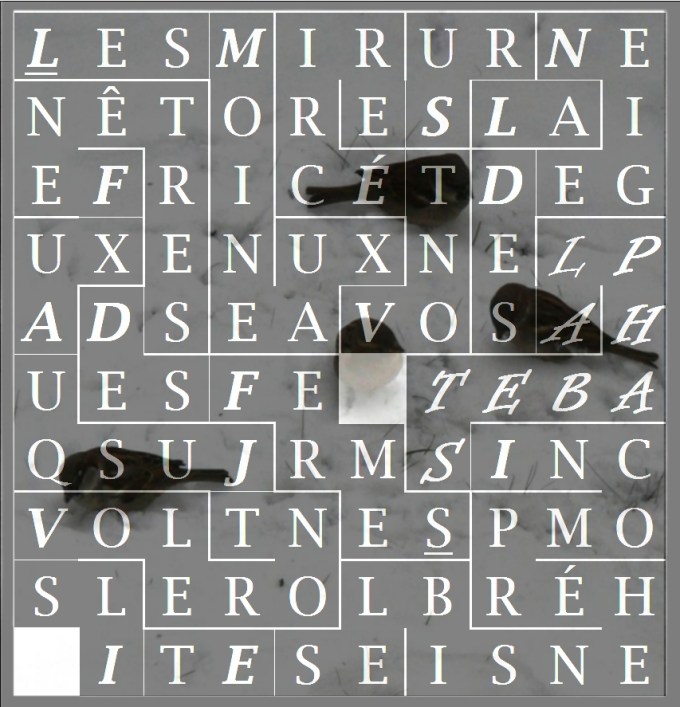 LES MOINEAUX VONT ÉCRIRE - letcr11