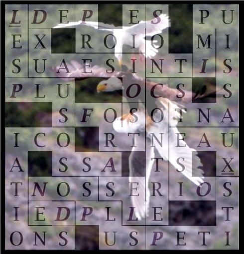 LES PLUS FORTS OISEAUX - letcr1-exp